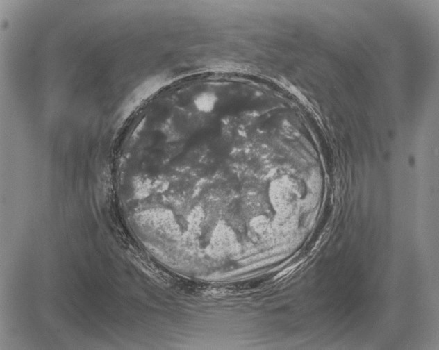 X0000081571263200702051205