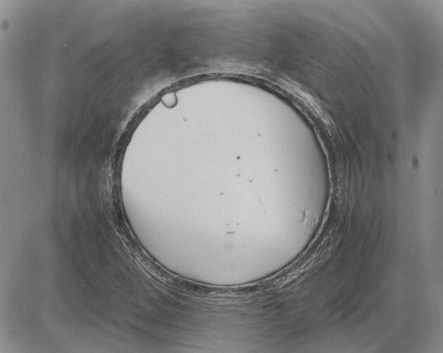 X0000081571264200702051205