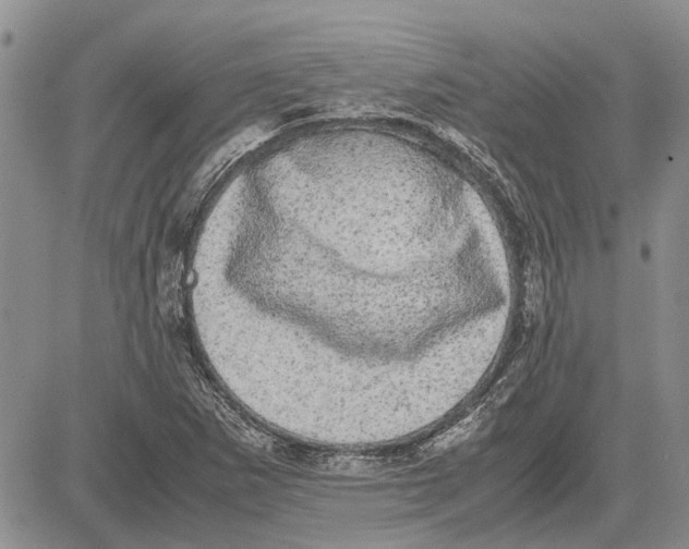 X0000081571265200702051205