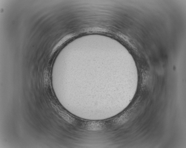 X0000081571266200702051205