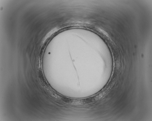 X0000081571267200702051205