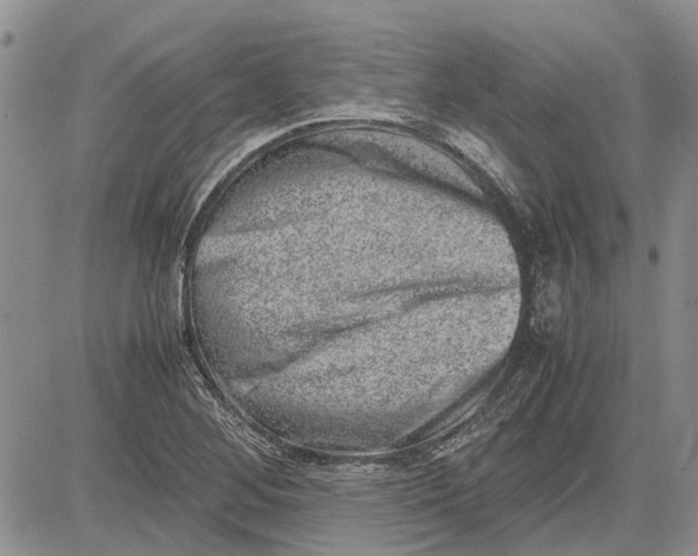 X0000081571268200702051205