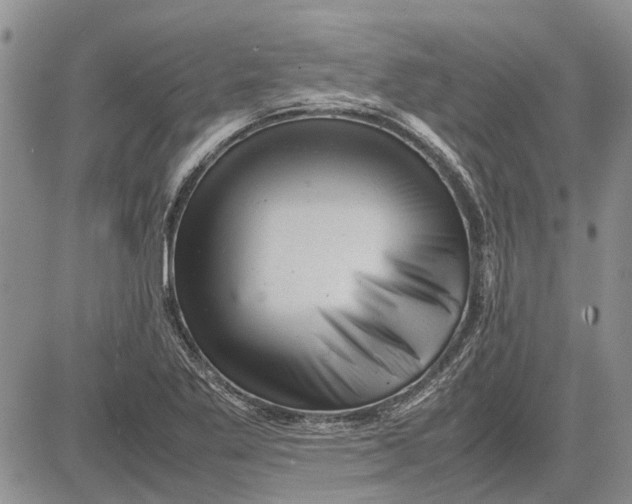 X0000081571269200702051205