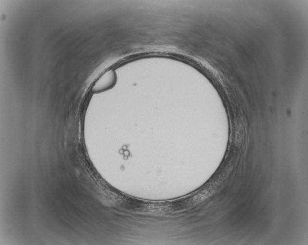 X0000081571271200702051205