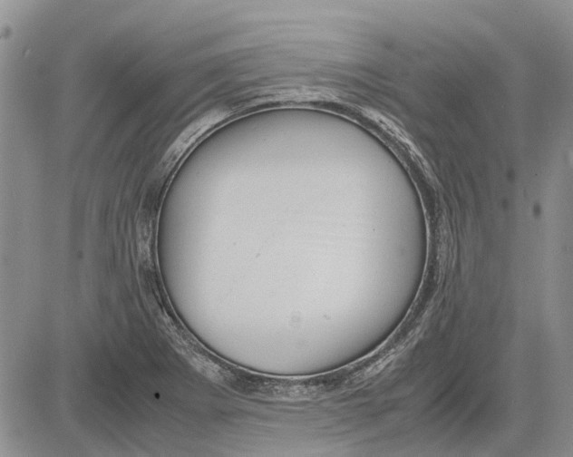 X0000081571273200702051205