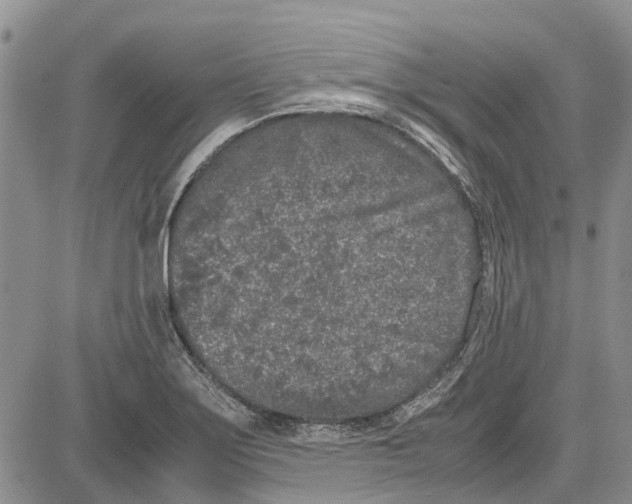 X0000081571275200702051205