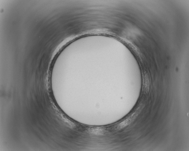 X0000081571278200702051205