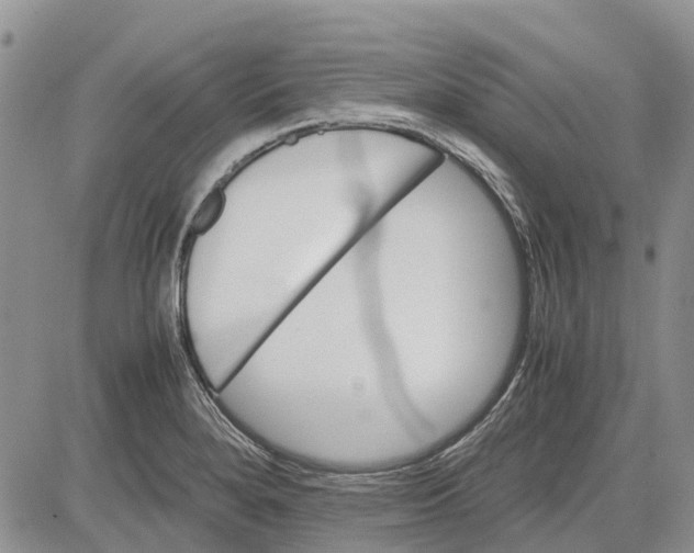 X0000081571280200702051205