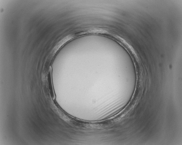 X0000081571281200702051205