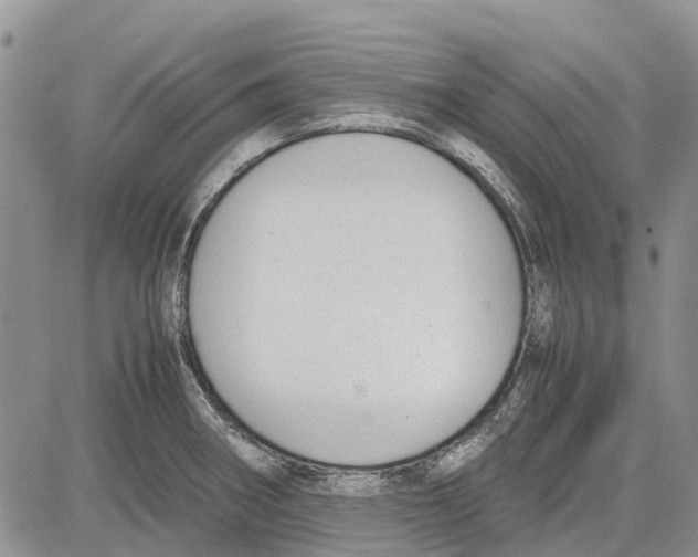 X0000081571282200702051205