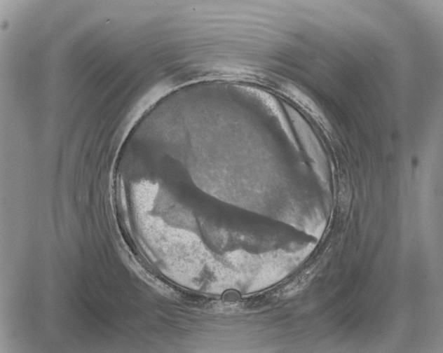 X0000081571283200702051205