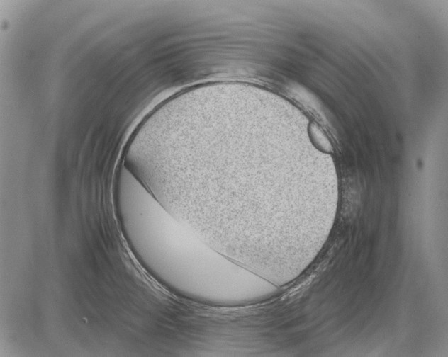 X0000081571284200702051205