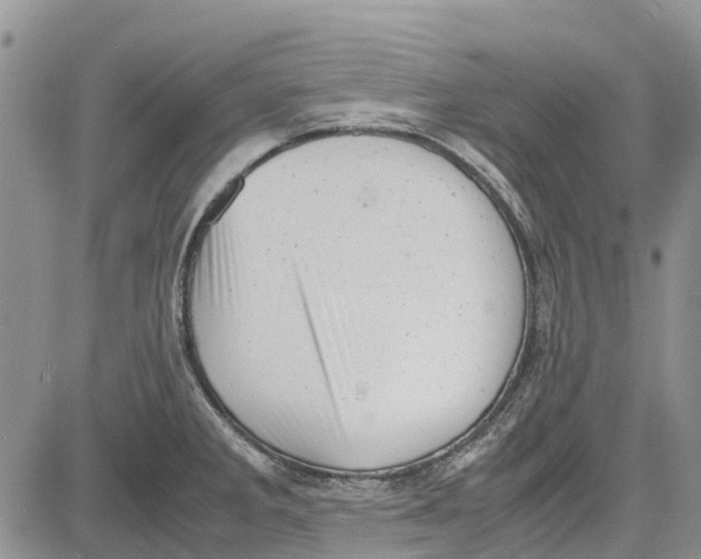 X0000081571285200702051205