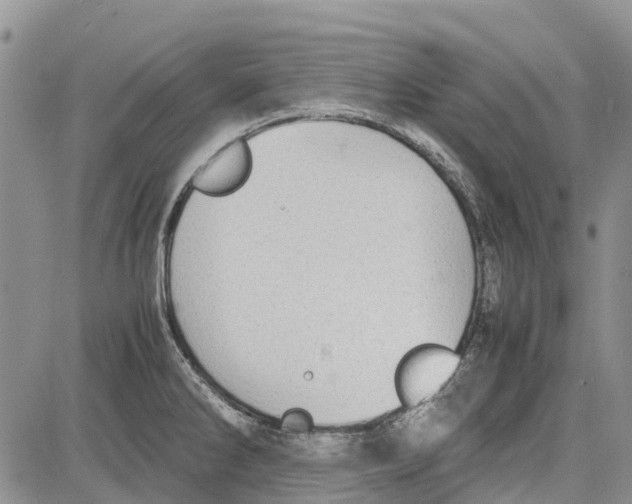 X0000081571286200702051205