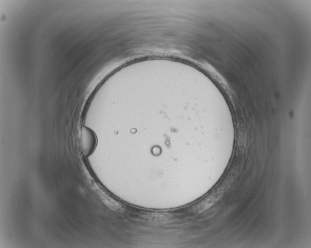 X0000081571287200702051205