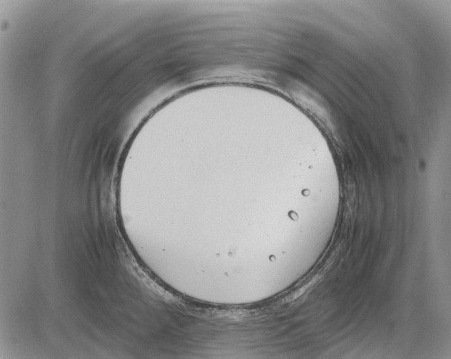 X0000081571288200702051205