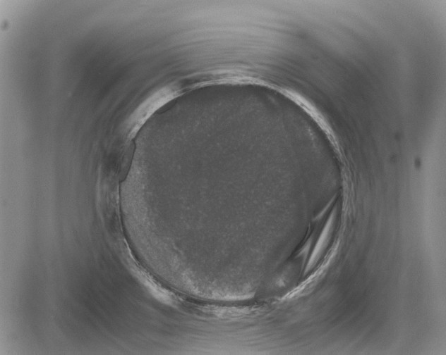 X0000081571289200702051205