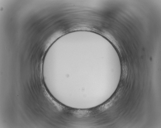 X0000081571290200702051205