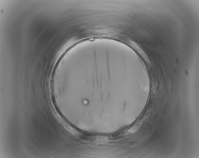 X0000081571291200702051205