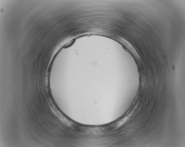 X0000081571292200702051205