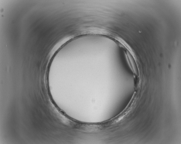 X0000081571293200702051205