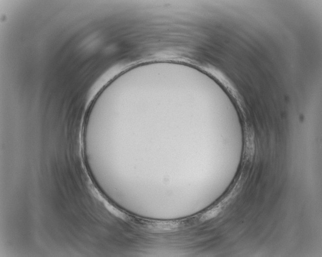 X0000081571294200702051205