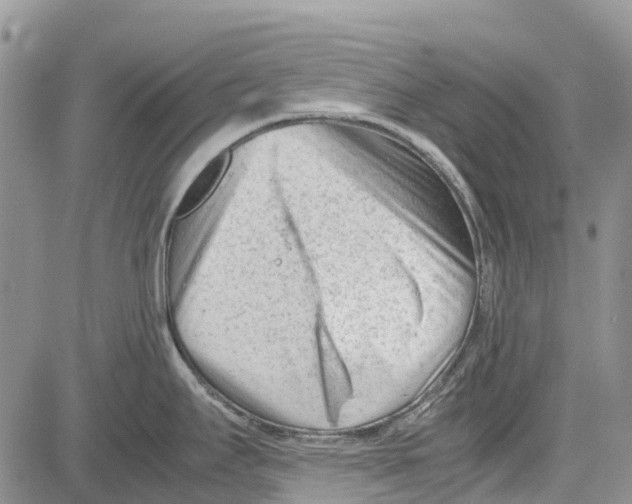 X0000081571295200702051205