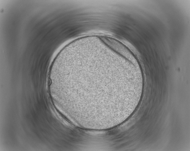 X0000081571296200702051205