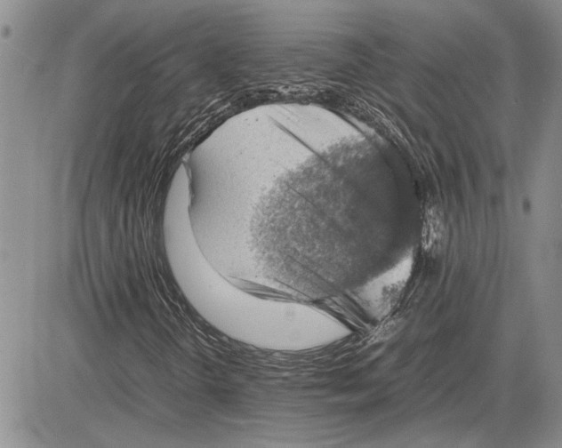 X0000081571298200702051204