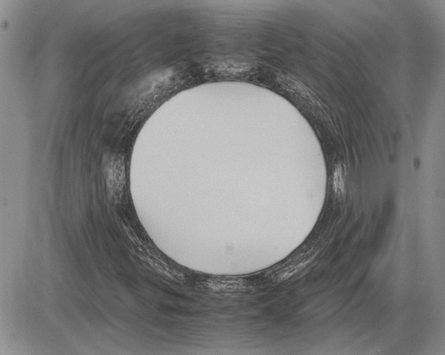 X0000081571299200702051204