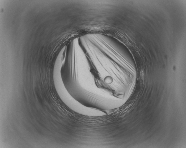 X0000081571300200702051204