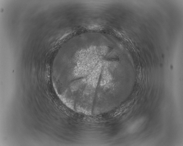 X0000081571301200702051204