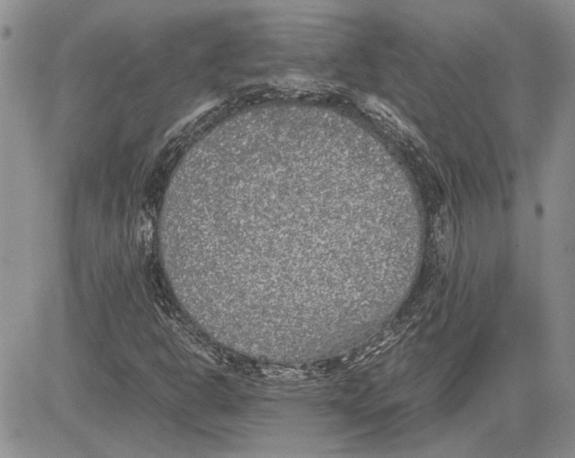 X0000081571302200702051204