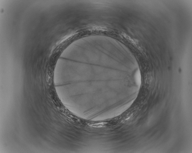 X0000081571303200702051204