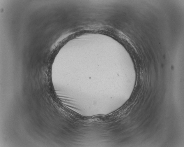 X0000081571304200702051204