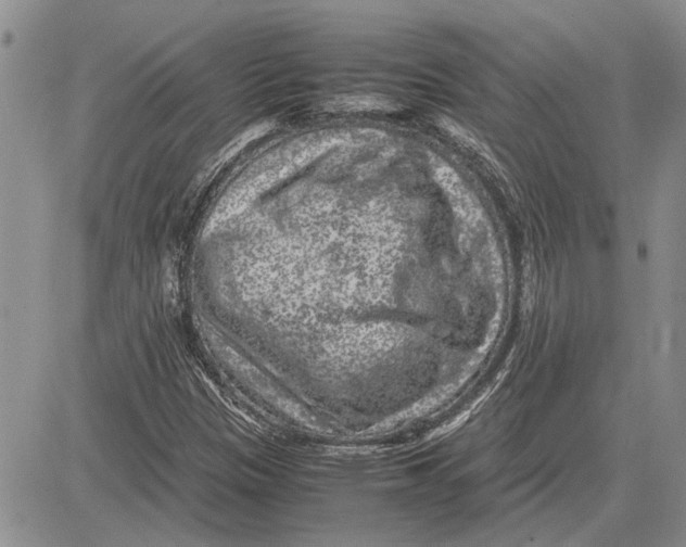 X0000081571305200702051204