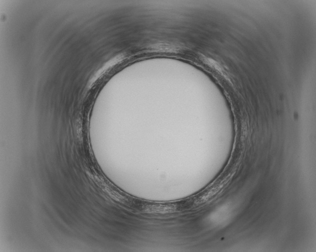 X0000081571307200702051204