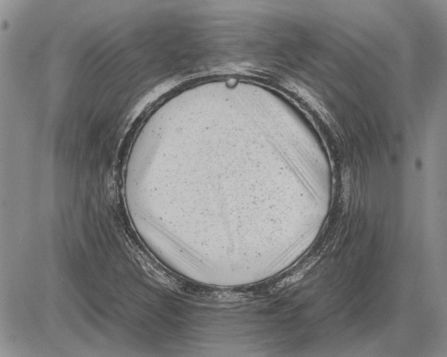 X0000081571308200702051204