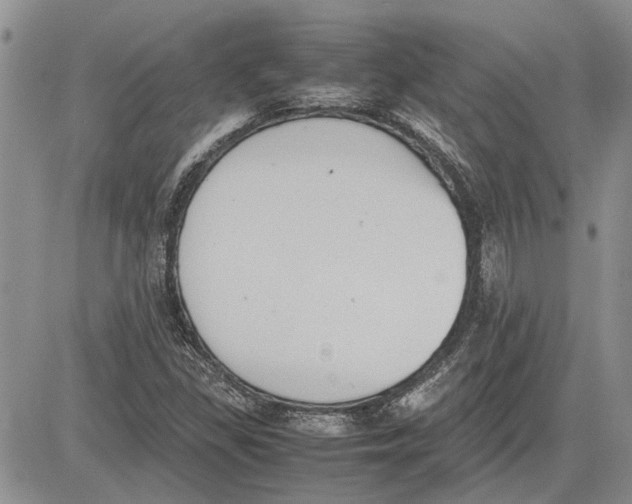 X0000081571309200702051204