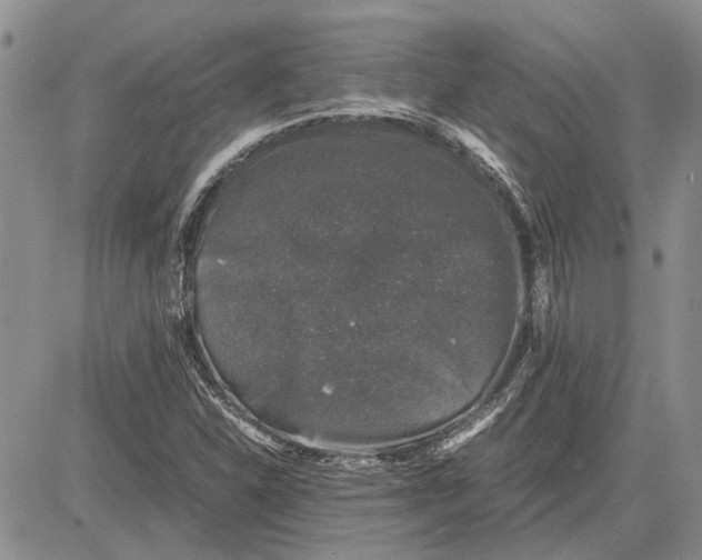 X0000081571310200702051204