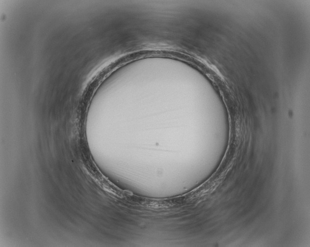 X0000081571311200702051204