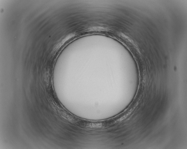 X0000081571313200702051204