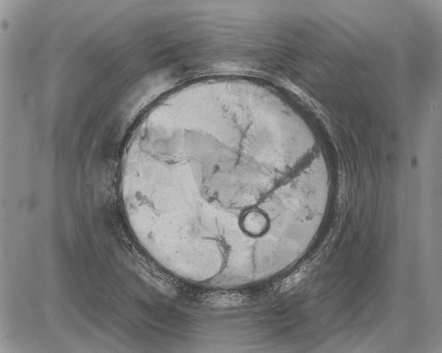 X0000081571314200702051204