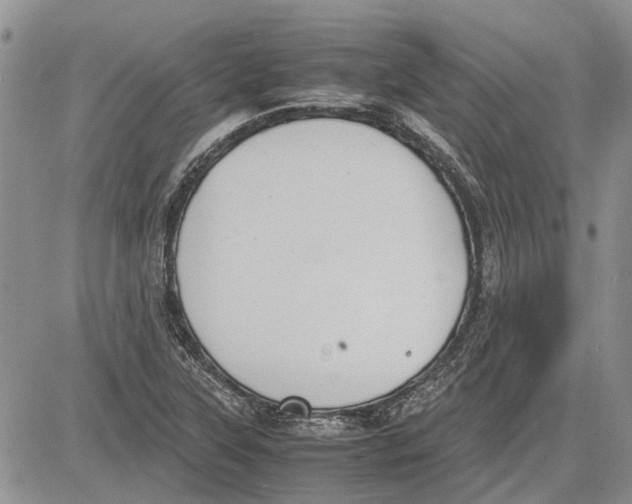 X0000081571315200702051204