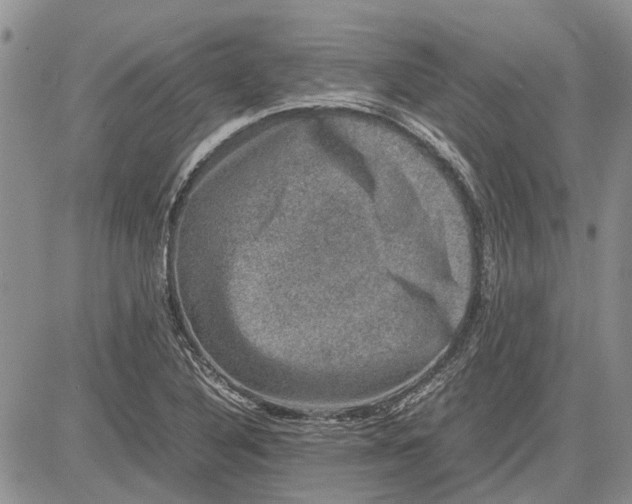 X0000081571316200702051204