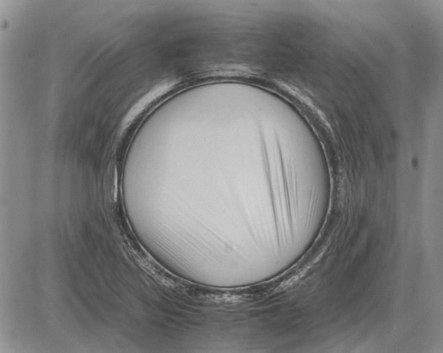 X0000081571317200702051204