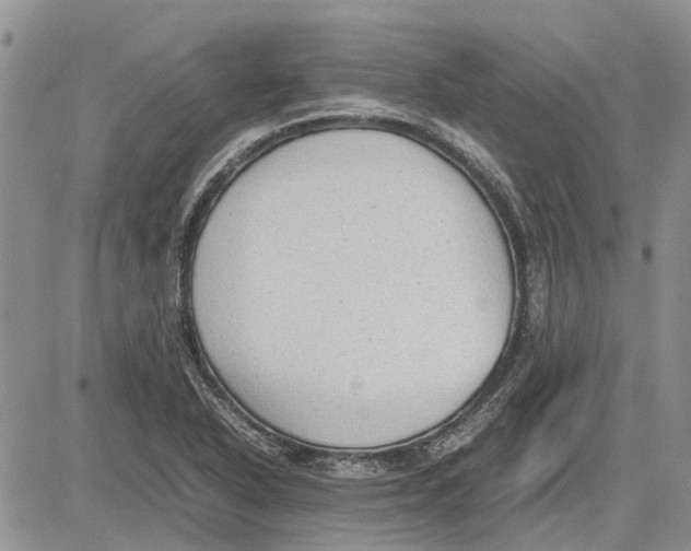 X0000081571318200702051204