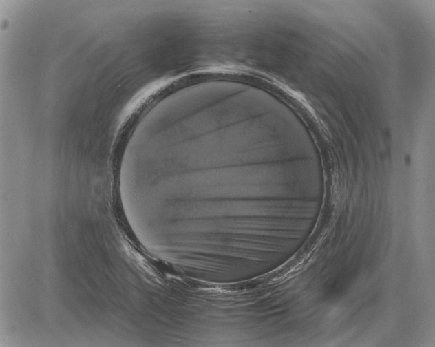 X0000081571319200702051204