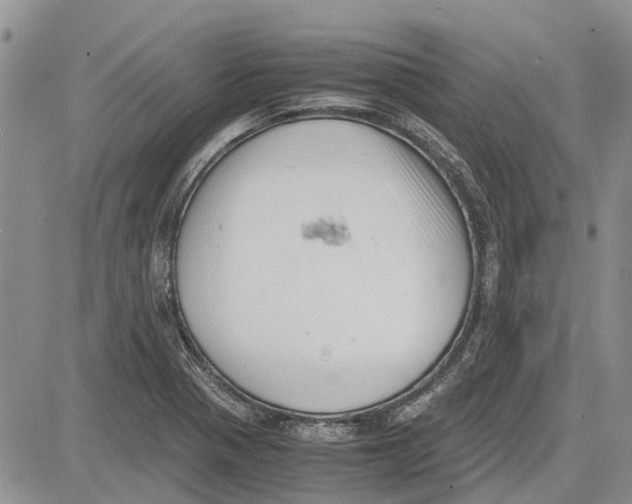 X0000081571321200702051204