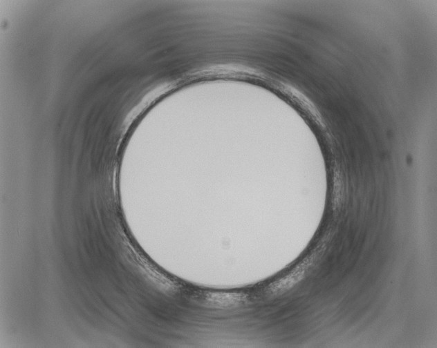 X0000081571322200702051204